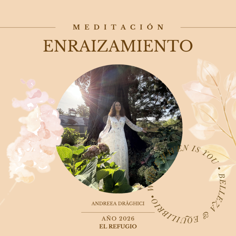 Meditaci&oacute;n Enraizamiento